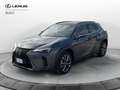 Lexus UX 300h UX 300h 4WD F-Design Gris - thumbnail 1