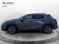 Lexus UX 300h UX 300h 4WD F-Design Gris - thumbnail 2