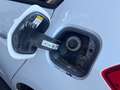 Ford Focus 1.0 EcoBoost 100 CV 5p. Plus Blanc - thumbnail 13