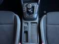 Ford Focus 1.0 EcoBoost 100 CV 5p. Plus Blanc - thumbnail 12