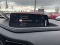 Mazda CX-30 2.5 AT Exclusive-Line Navi Matrix Bose Weiß - thumbnail 12