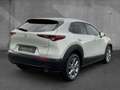 Mazda CX-30 2.5 AT Exclusive-Line Navi Matrix Bose Weiß - thumbnail 3