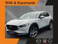 Mazda CX-30 2.5 AT Exclusive-Line Navi Matrix Bose Weiß - thumbnail 1
