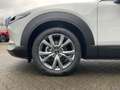 Mazda CX-30 2.5 AT Exclusive-Line Navi Matrix Bose Weiß - thumbnail 6