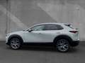 Mazda CX-30 2.5 AT Exclusive-Line Navi Matrix Bose Weiß - thumbnail 2