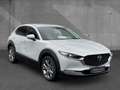 Mazda CX-30 2.5 AT Exclusive-Line Navi Matrix Bose Weiß - thumbnail 5