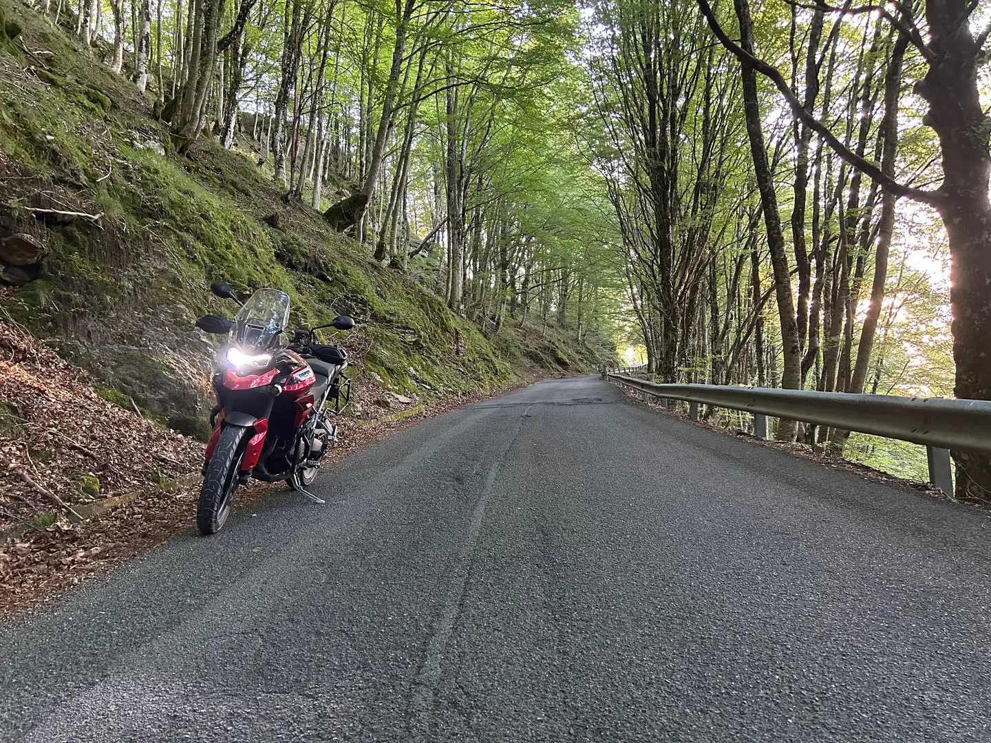 Triumph Tiger 900 Gt pro Rosso - 2