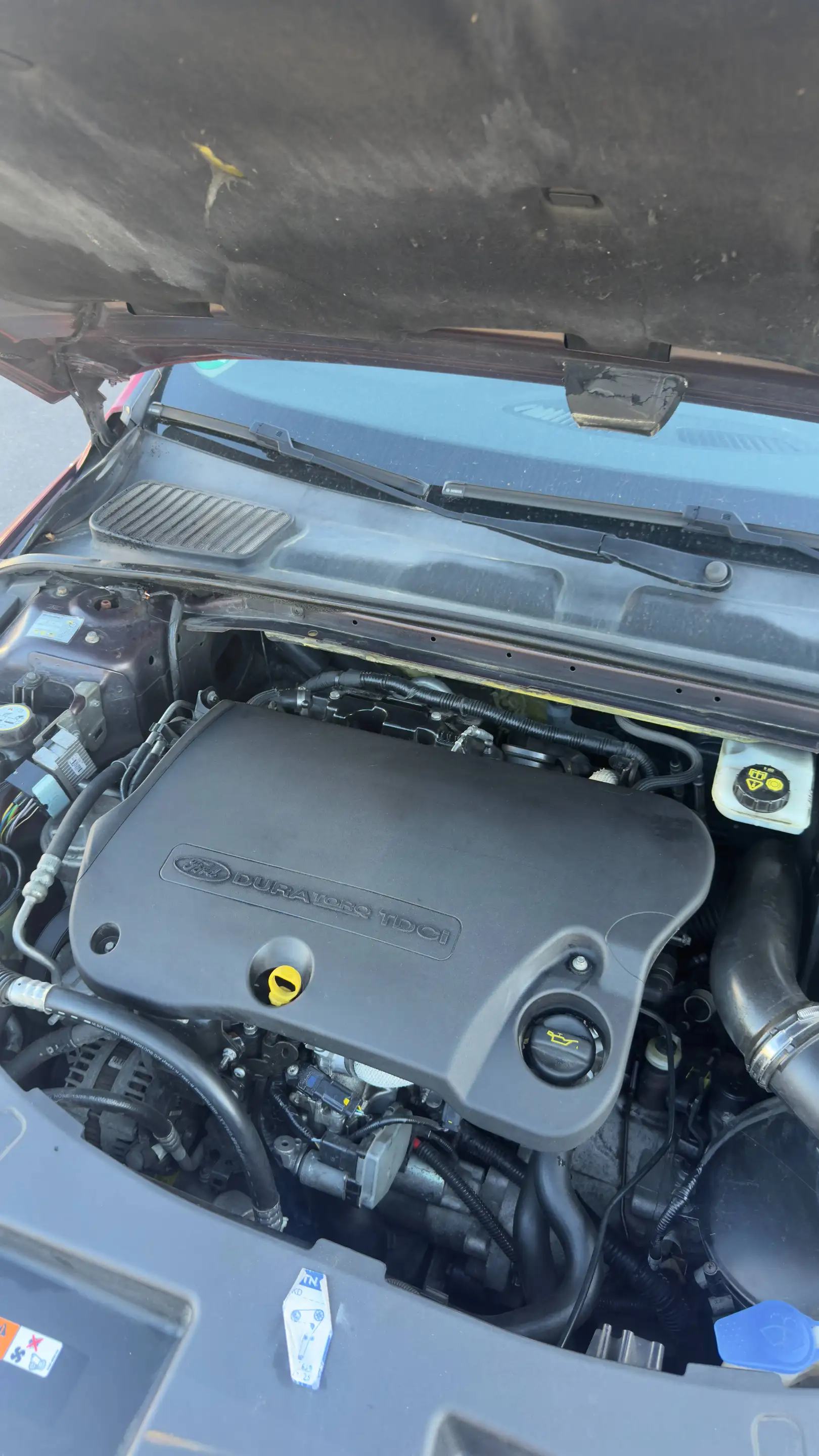 Ford Mondeo Titanium S — photo 11