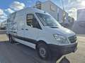 Mercedes-Benz Sprinter II Kasten 313/CDI*mit Hebebühne *2.Hand Alb - thumbnail 1