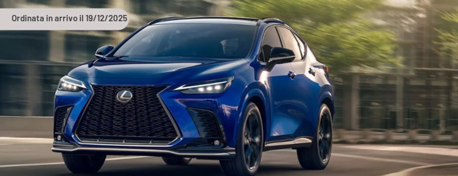 Lexus NX 450h+ NX 300h Argento - 2
