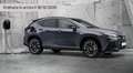 Lexus NX 450h+ NX 300h Argento - thumbnail 4