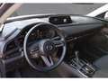 Mazda CX-30 2.0 Skyactiv-G Evolution 2WD Aut. 90kW - thumbnail 12