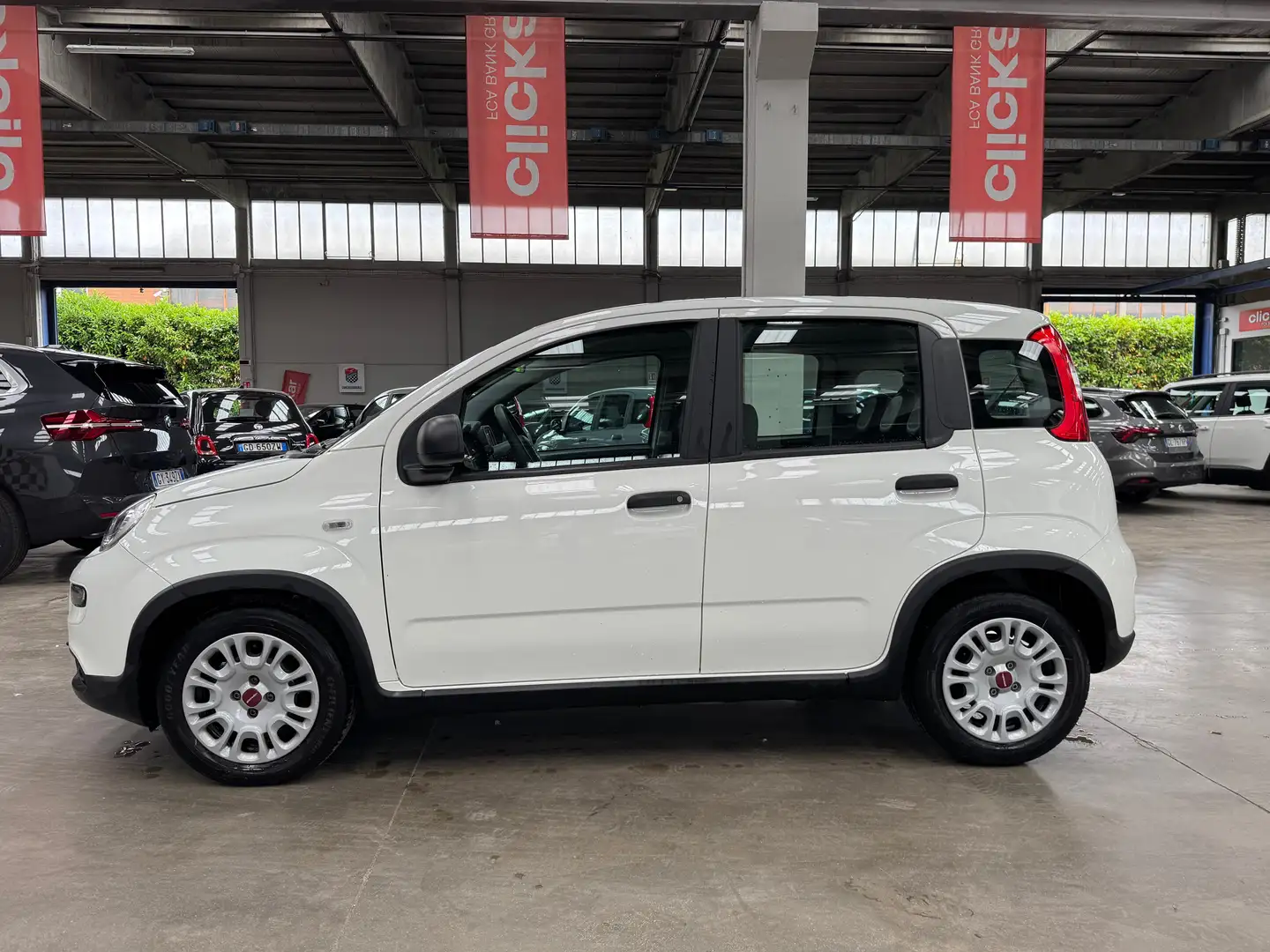 Fiat Panda Panda 1.0 firefly hybrid s Weiß - 2