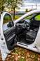 Renault Grand Scenic Scénic III Bose Edition 1,9 dCi DPF Weiß - thumbnail 5