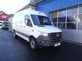 Mercedes-Benz Sprinter 317 CDI RWD 9G-Tronic L2H2 / AHK 3500 KG Blanc - thumbnail 1