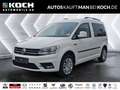 Volkswagen Caddy Combi 1.4 TSI PDC AHK TEMPO SHZ Bluetooth Blanc - thumbnail 1
