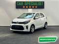 Kia Picanto 1.0 12V 5 porte BLUETOOTH|EURO 6|USB| Bianco - thumbnail 1