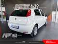 Fiat Punto Punto 1.2 Street 5p E6 Wit - thumbnail 3