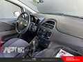 Fiat Punto Punto 1.2 Street 5p E6 Wit - thumbnail 15