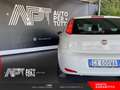 Fiat Punto Punto 1.2 Street 5p E6 Wit - thumbnail 22