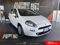 Fiat Punto Punto 1.2 Street 5p E6 Wit - thumbnail 2