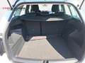 Skoda Fabia Combi Ambition 1.2 TSI DSG Klima ACC PDC Blanco - thumbnail 7