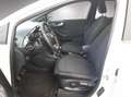 Ford Puma ST-Line Design Blanc - thumbnail 13