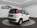 Fiat Panda Panda III 2016 1.2 Easy s Weiß - thumbnail 2