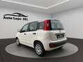 Fiat Panda Panda III 2016 1.2 Easy s Weiß - thumbnail 4
