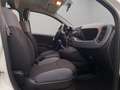Fiat Panda Panda III 2016 1.2 Easy s Weiß - thumbnail 12