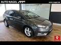 Ford Focus Focus Turnier 1.5 Titanium +NAVI+AHK+PDC+Kamera+ Grijs - thumbnail 1