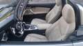 BMW Z4 BMW Z4 SDrive 30i - Cambio Automatico a 6 rapporti Gris - thumbnail 11