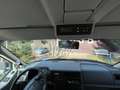 Volkswagen T4 California California - thumbnail 6