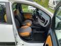 Fiat New Panda 4x4 ELD Euro 6 * Blocco Differenziale * Bianco - thumbnail 10