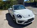 Volkswagen Beetle Beetle Cabrio 1,2 TSI Austria Austria Weiß - thumbnail 13