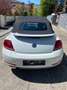Volkswagen Beetle Beetle Cabrio 1,2 TSI Austria Austria Weiß - thumbnail 5