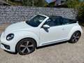Volkswagen Beetle Beetle Cabrio 1,2 TSI Austria Austria Weiß - thumbnail 12