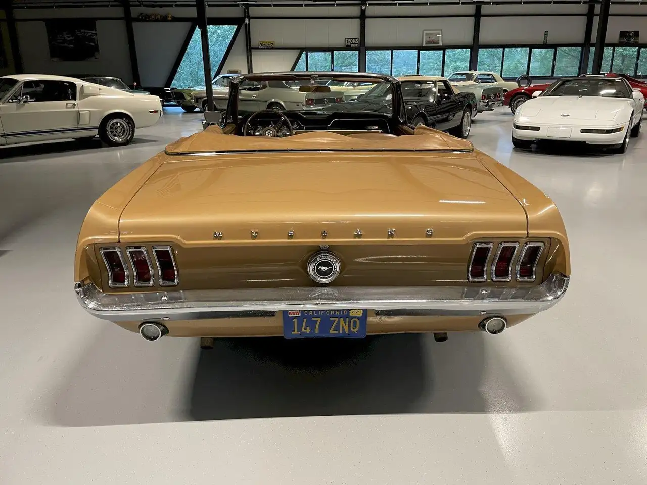 Ford Mustang Convertible s-code 390 325hp, foto 8