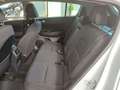 Kia Sportage Sportage 1.7 crdi Active 2wd 115cv Weiß - thumbnail 7
