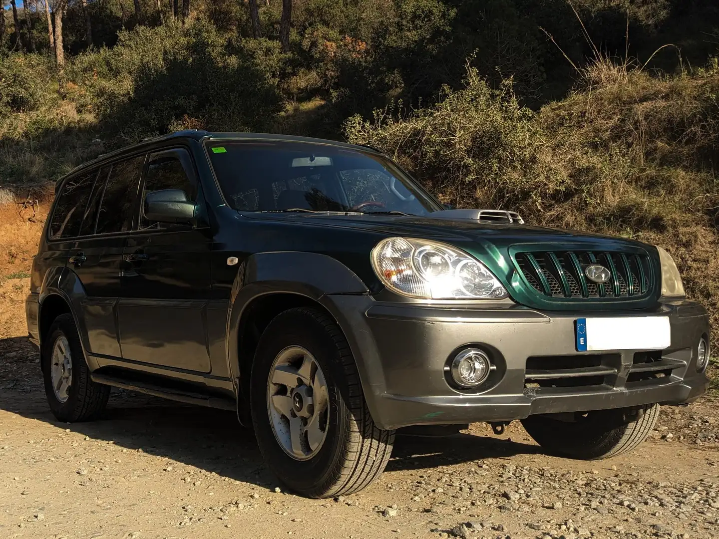 Hyundai Terracan 2.5TCI Зелений - 1