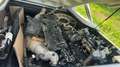 Ford Ranger Ranger Limited  Doppelkabine 4x4 2,0 Aut. Limited Silber - thumbnail 2