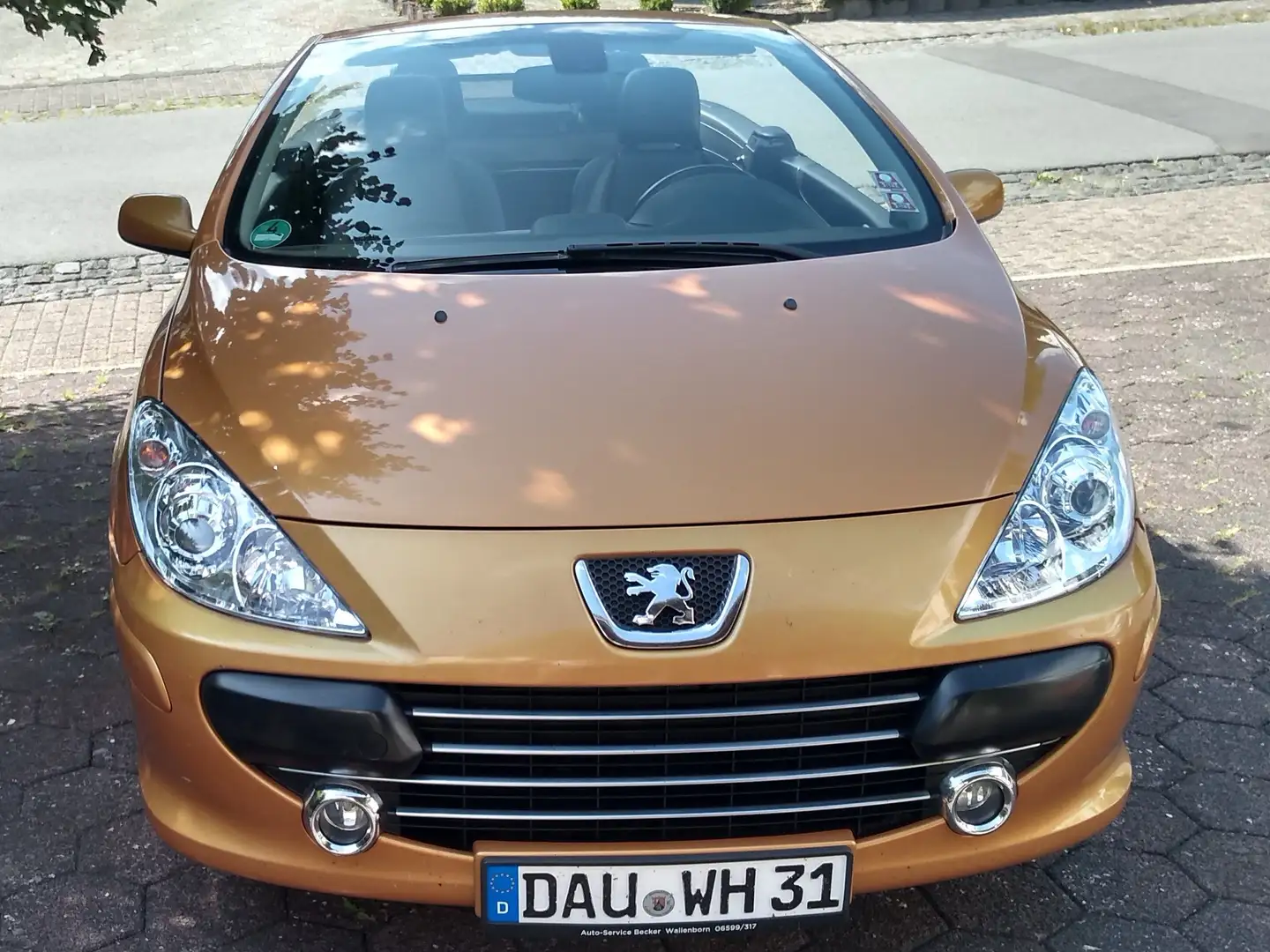 Peugeot 307 307 CC Diesel CC HDi FAP 135 JBL - 1