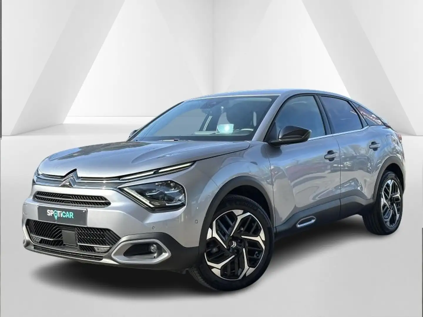 Citroen C4 Max Gris - 1