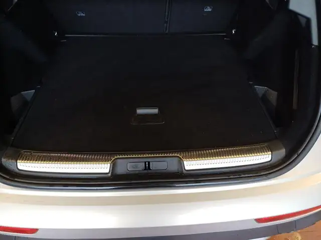 DS Automobiles DS 7 Crossback view 8