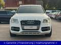Audi SQ5 3.0 TDI quattro*NAVI*BI-XENON*2HD*ALCANTARA* Blanco - thumbnail 3