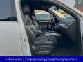 Audi SQ5 3.0 TDI quattro*NAVI*BI-XENON*2HD*ALCANTARA* Blanco - thumbnail 13