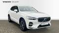 Volvo XC60 Inscription | B4 MHEV Blanc - thumbnail 7