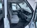 Ford Transit FT 350 M Trend 6-Sitzer Klima Weiß - thumbnail 14