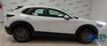Mazda CX-30 2.0L e-Skyactiv-G 150 CV M Hybrid 2WD Evolve Blanco - thumbnail 2