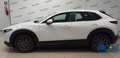 Mazda CX-30 2.0L e-Skyactiv-G 150 CV M Hybrid 2WD Evolve Blanco - thumbnail 13
